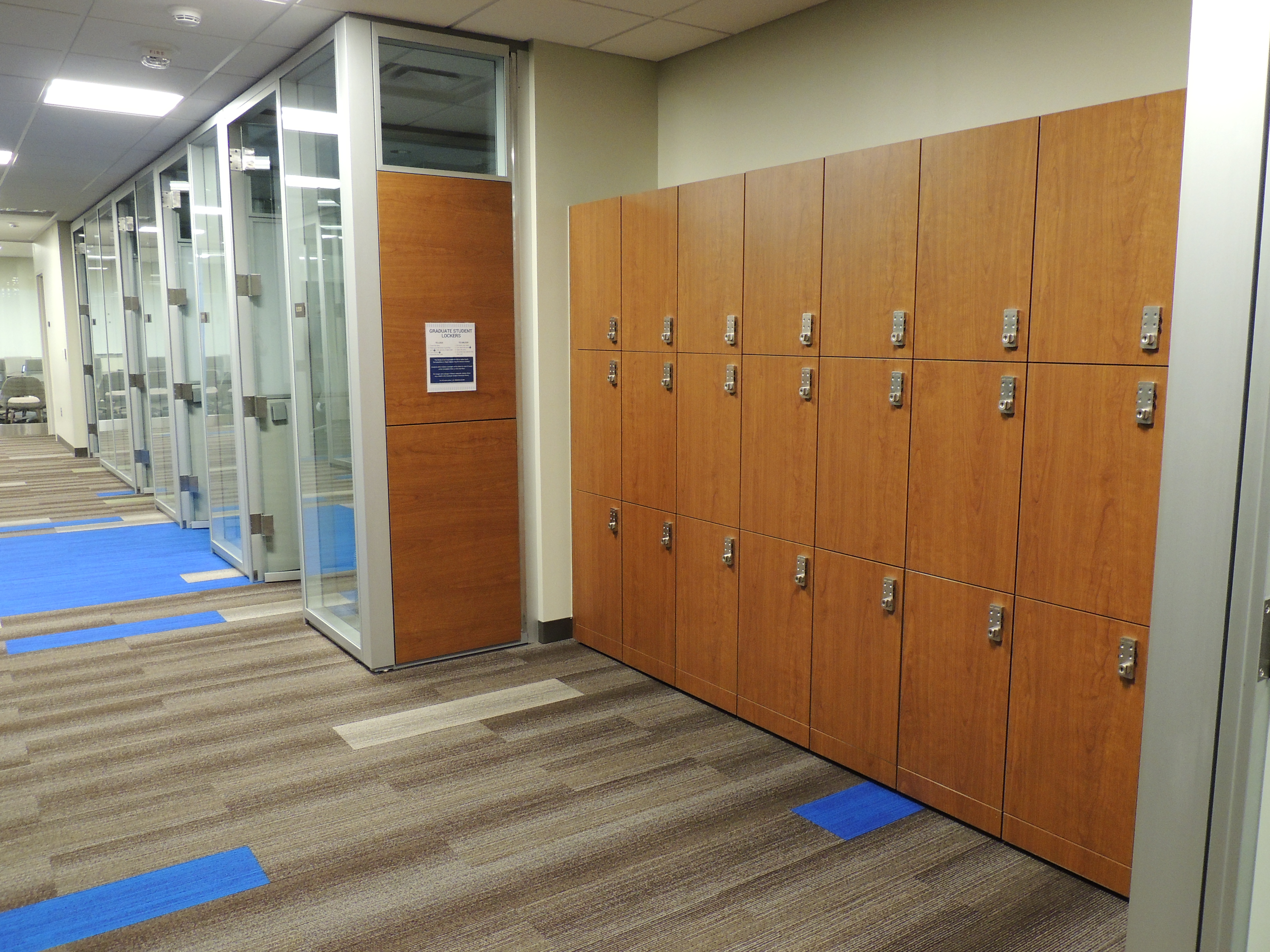 Lower Level Lockers