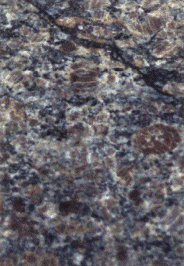 Close up of quartz monzonite.