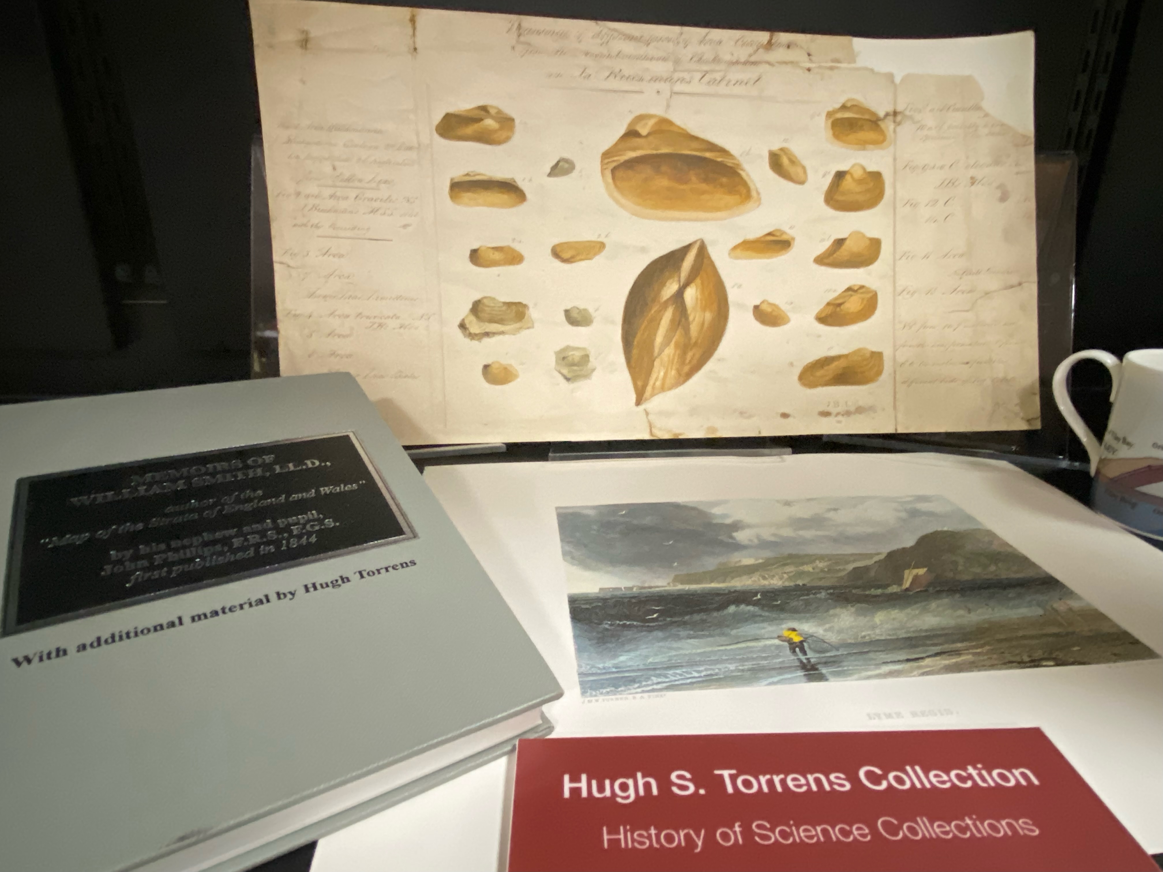 Photo of shelf with books and archival materials from the "Hugh S. Torrens Collection"
