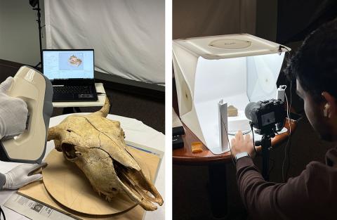 Image on the left shows a bison skull being scanned with an Artec Eva 3D scanner. Image on the right shows an individual taking photographs of an artfact positioned in a lightbox.